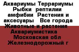 Аквариумы.Террариумы.Рыбки, рептилии, амфибии. Растения и аксесуары - Все города Животные и растения » Аквариумистика   . Московская обл.,Железнодорожный г.